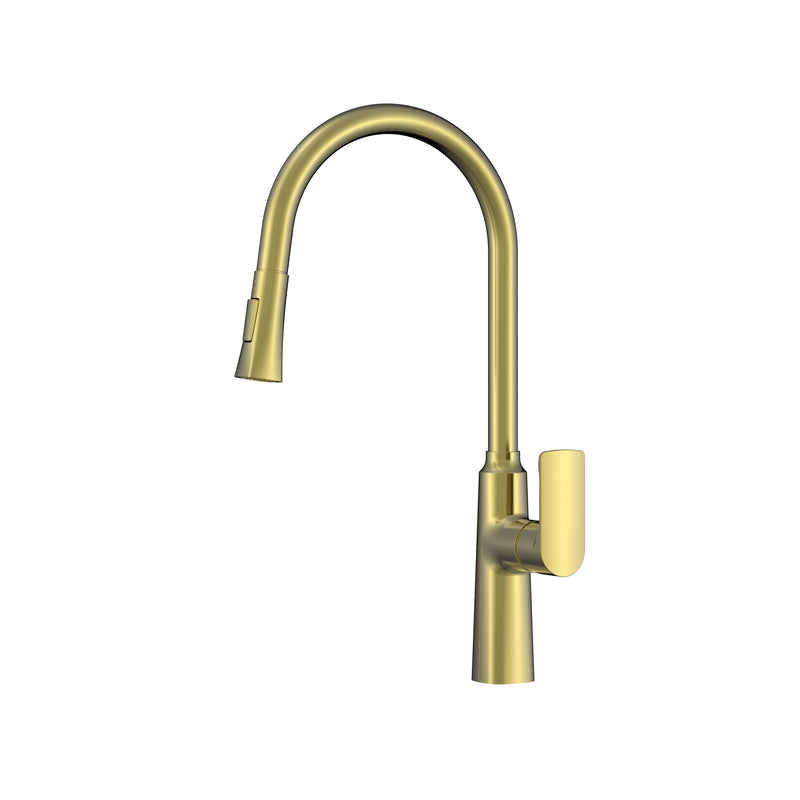 Forte Pull Out Sink Tap Brushed Gold